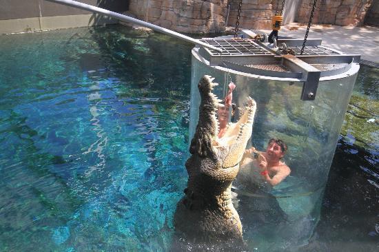 Crocosaurus Cove